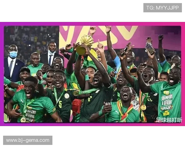 突尼斯连续17届出战非洲杯改写非洲足球赛场参赛纪录新高峰里程